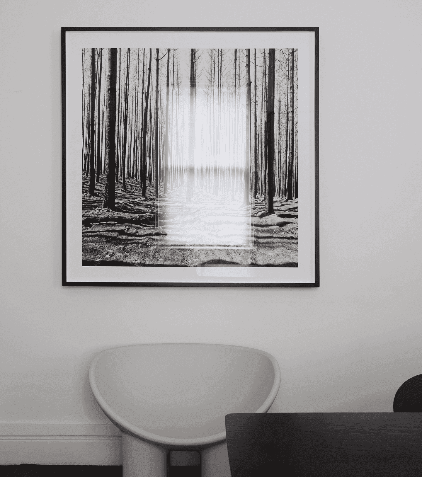 Curated photograph of a curved seat, below a large photo of a black and white forrest