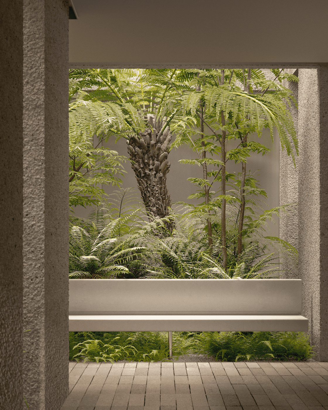 Plant Street ferns by Acre